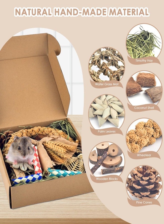 Bissap Rabbit Chew Toy, Natural Bunny Treats Snacks with Timothy Hay Water Grass Mat Coconut Husk Box for Guinea Pigs Chinchillas Hamsters Gerbils and Other Small Pets Teeth Grinding - Image 2